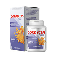 Cordyceps Pulse CZ lungs